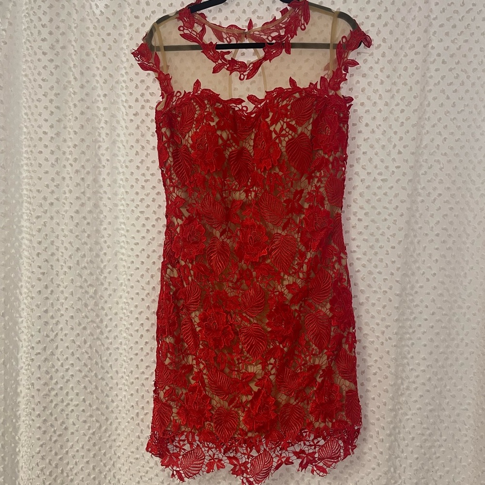 Red and Sheer Dress